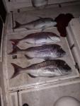 IMG-20200417-WA0301